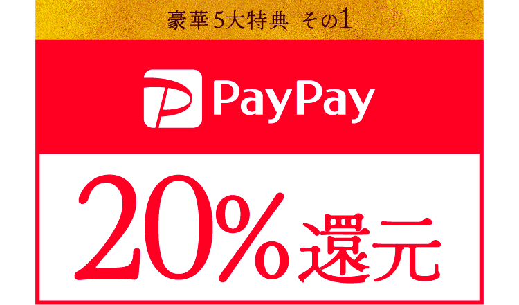 paypay20%還元