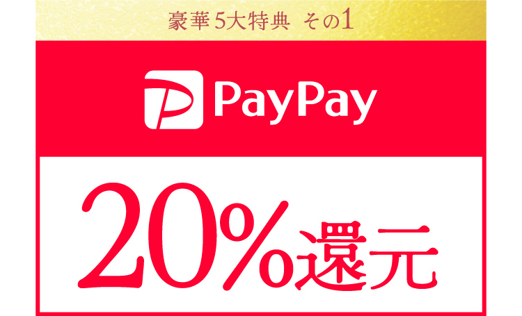 paypay20%還元