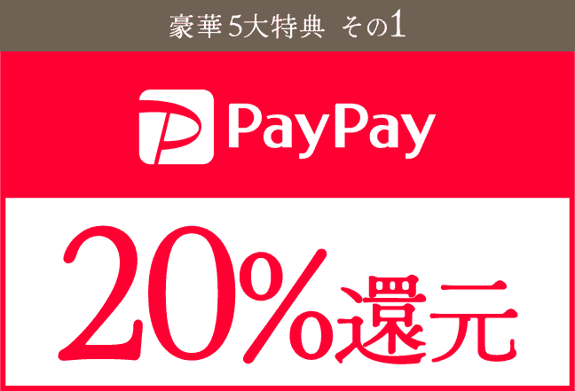 paypay20%還元