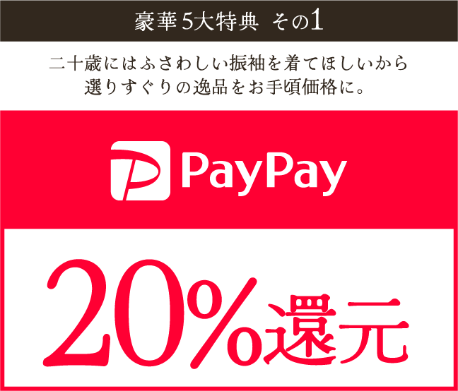 paypay20%還元