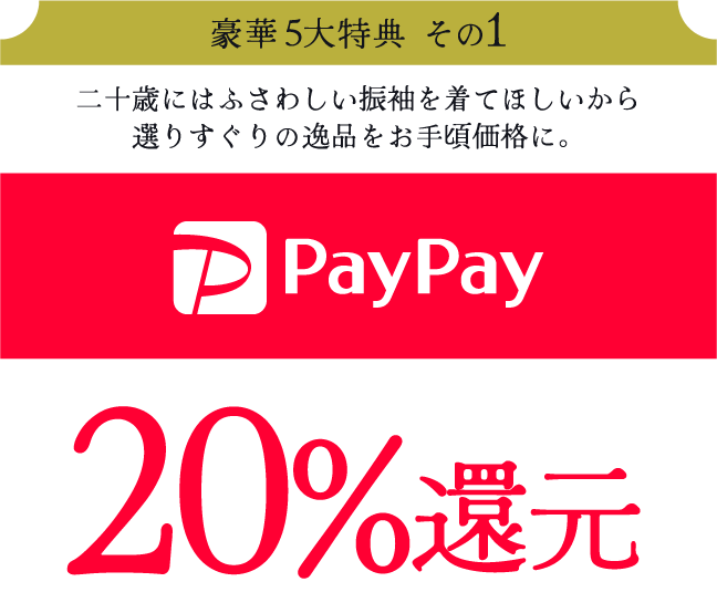 paypay20%還元